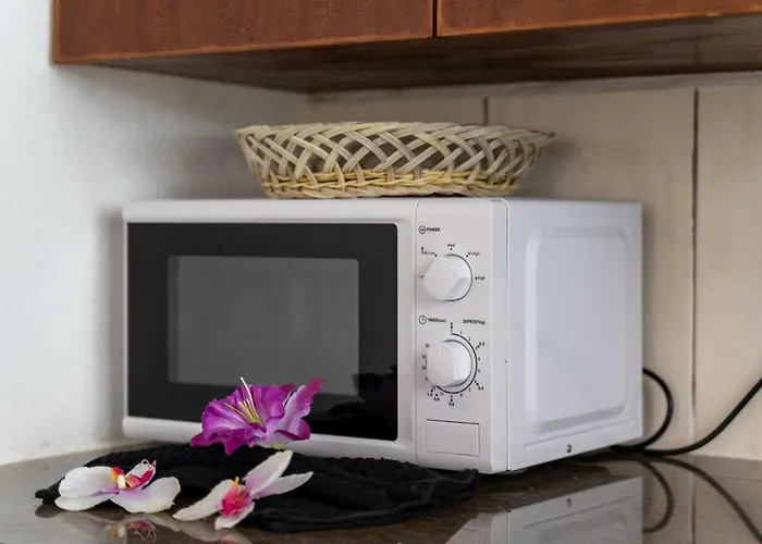 Apartment Cove Bel Ombre